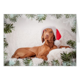 Xmas Card / Christmas Card "Magyar Vizsla" Hälsningskort