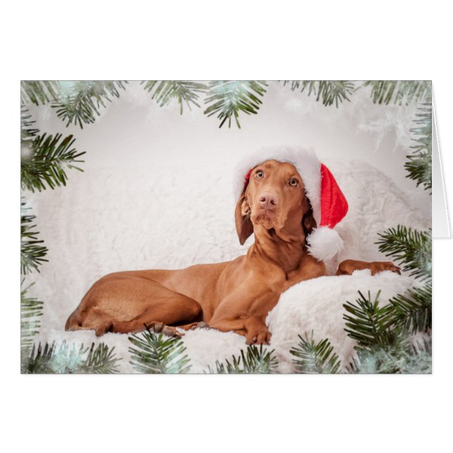Xmas Card / Christmas Card "Magyar Vizsla" Hälsningskort (Framsidan Horizontal)