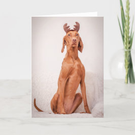 Xmas Card / Christmas Card "Magyar Vizsla" Helgkort