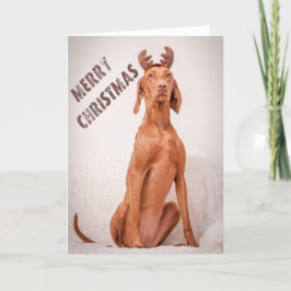 Xmas Card / Christmas Card "Magyar Vizsla" Helgkort