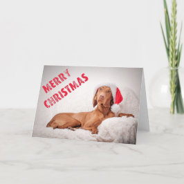 Xmas Card / Christmas Card "Magyar Vizsla" Helgkort