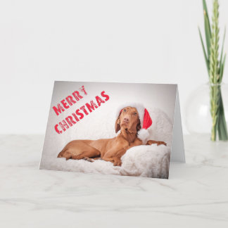 Xmas Card / Christmas Card "Magyar Vizsla" Helgkort
