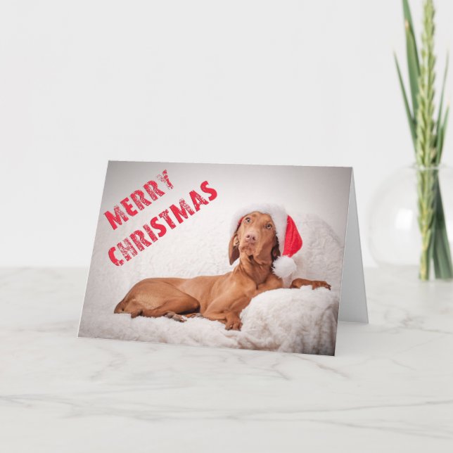 Xmas Card / Christmas Card "Magyar Vizsla" Helgkort (Framsida)