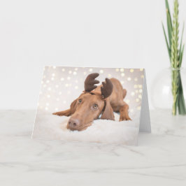 Xmas Card / Christmas Card "Magyar Vizsla" Helgkort