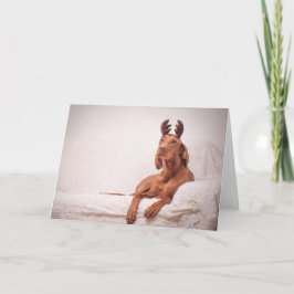 Xmas Card / Christmas Card "Magyar Vizsla" Helgkort