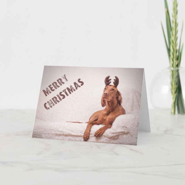 Xmas Card / Christmas Card "Magyar Vizsla" Helgkort (Framsida)