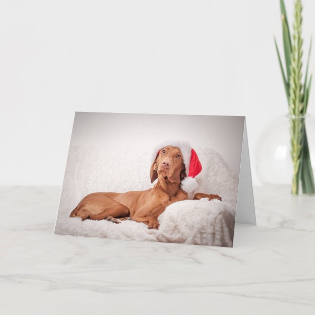 Xmas Card / Christmas Card "Magyar Vizsla" Helgkort (Framsida)