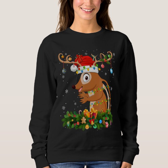 Xmas Holiday Reindeer Hat Santa Chipmunk Christmas T Shirt (Framsida)