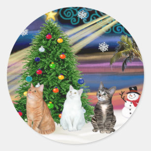 Xmas Magic - 3 katter (2 tabby - vita) Runt Klistermärke