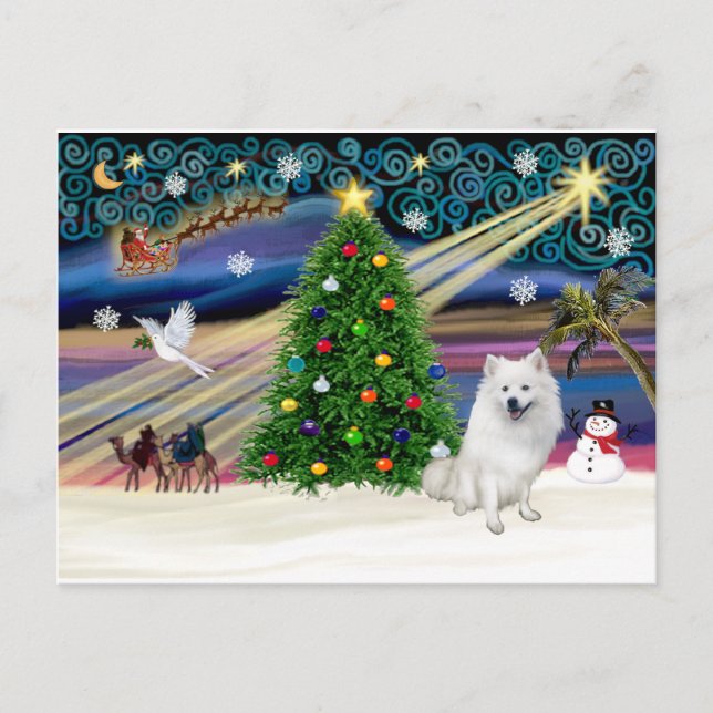 Xmas Magic-American Eskimo Dog Helg Vykort (Framsida)
