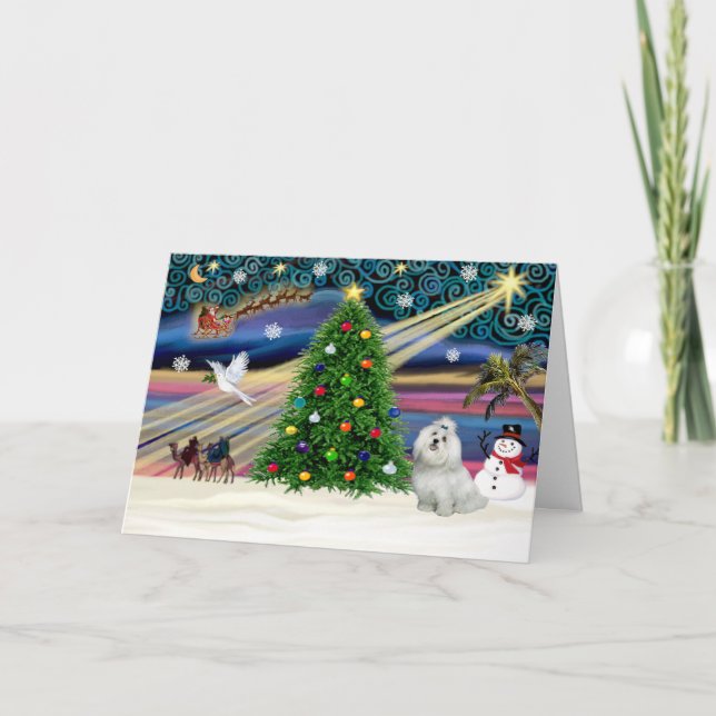 Xmas Magic-Maltese-cutie Helgkort (Framsida)