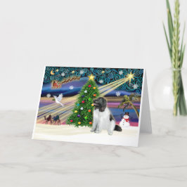 Xmas Magic-Newfie-Landseersit Helgkort