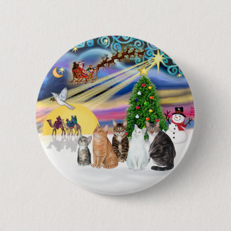 Xmas Magic (R) - Fem katter (AmSH) Knapp