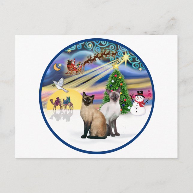Xmas Magic (R) - Två siameser katter Helg Vykort (Framsida)