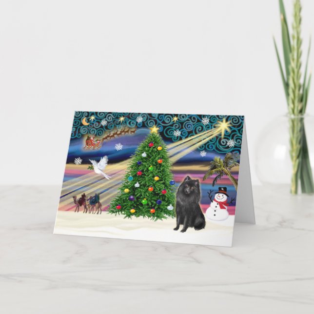 Xmas Magic-Schipperke Helgkort (Framsida)
