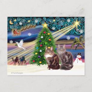 Xmas Magic - Två Maine Coon katter Helg Vykort