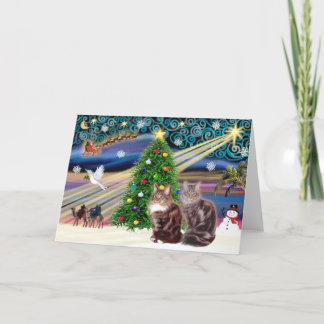 Xmas Magic - Två Maine Coon katter Helgkort
