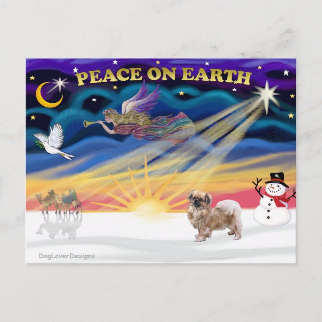 Xmas Sunrise - Tibetan Spaniel 1 Helg Vykort (Framsida)