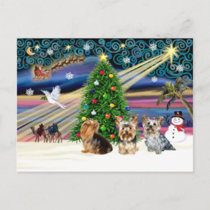 XmasMagic Yorkie Trio Helg Vykort