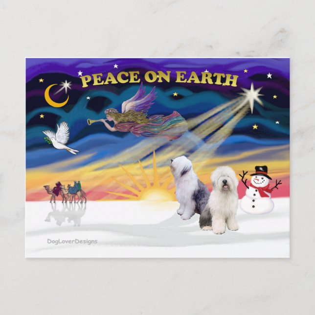XmasSunrise-Two Old English Sheepdog Helg Vykort (Framsida)