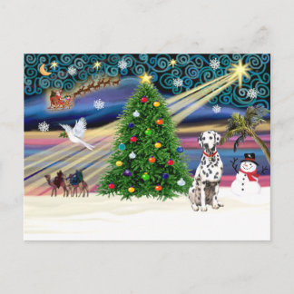 XmsMagic-Dalmatian Vykort