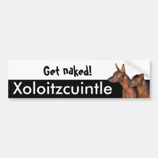 Xolitzcuintle bildekal