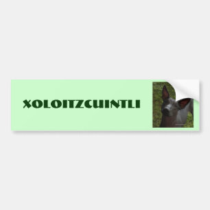 Xoloitzcuinti Bildekal