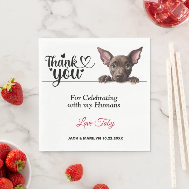 Xoloitzcuinti Peeking Hund Pappra blöjor Pappersservett (Insitu)