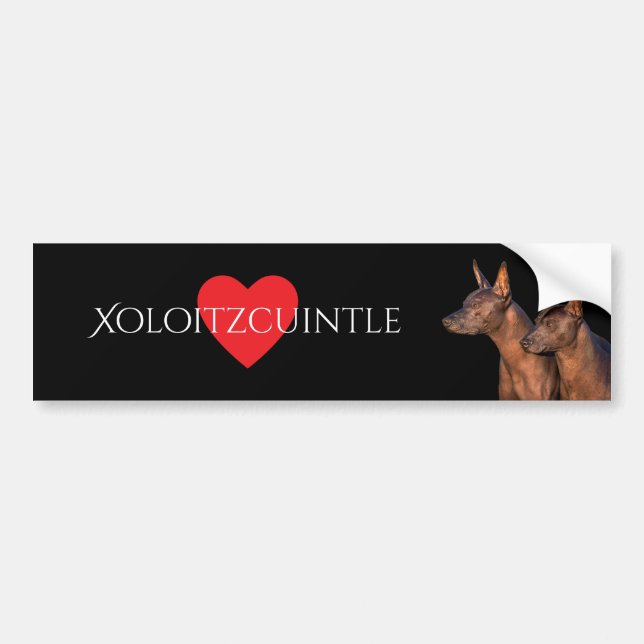 Xoloitzcuintle bildekal (Framsidan)