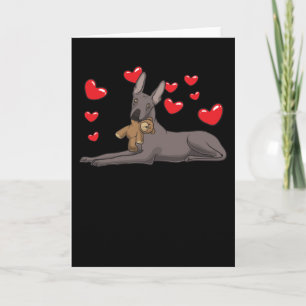 Xoloitzcuintle-Hund med Mjukisdjur och öron Kort