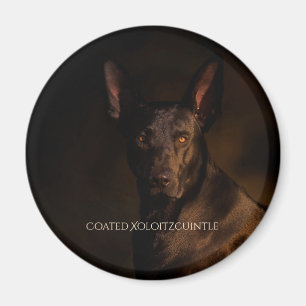 Xoloitzcuintle jackade magneten magnet