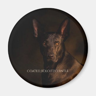 Xoloitzcuintle Jackat magnet