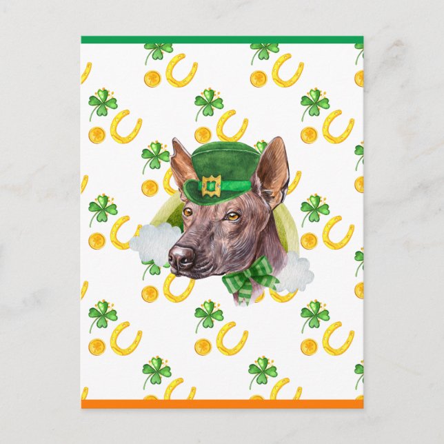 Xoloitzcuintle Shamrock St. Patricks Day Helg Vykort (Framsida)