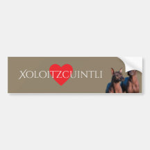 Xoloitzcuintli