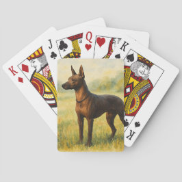 Xoloitzcuintli Casinokort