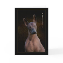 Xoloitzcuintli-hälsningskort