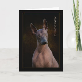 Xoloitzcuintli-hälsningskort Kort