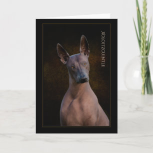 Xoloitzcuintli-hälsningskort Kort