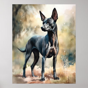 Xoloitzcuintli Hund Art Print Poster