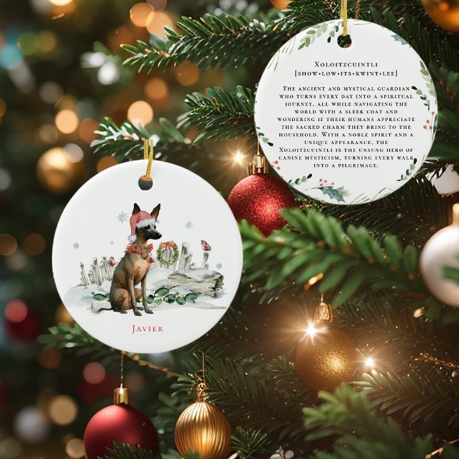 Xoloitzcuintli | Hund utan vattenfärg, mexikansk h Julgransprydnad Keramik (Skapare uppladdad)