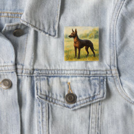 Xoloitzcuintli Knapp