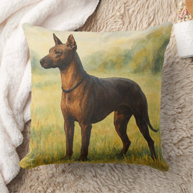 Xoloitzcuintli Kudde (Filt)