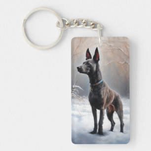 Xoloitzcuintli Låt det snöa jul