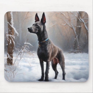 Xoloitzcuintli Let It Snow Jul Musmatta