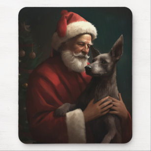 Xoloitzcuintli med Jultomten i julafton Musmatta