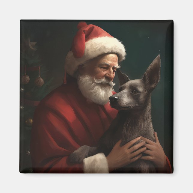 Xoloitzcuintli med tomte festlig jul magnet (Framsidan)