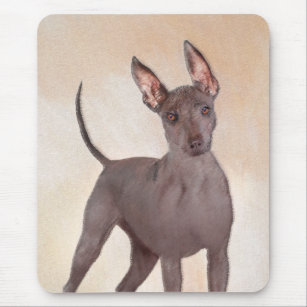Xoloitzcuintli Painting - Cute Original Hund Art Musmatta