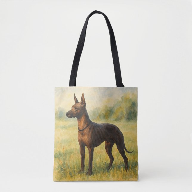 Xoloitzcuintli Tygkasse (Framsida)