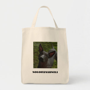 Xoloitzcuintli Tygkasse