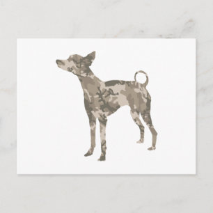 Xoloitzcuintli Vykort